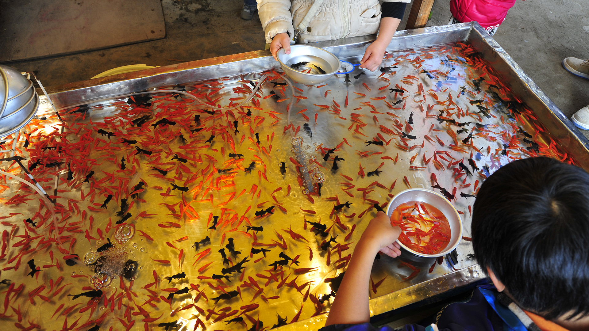 商売繁盛えべっさん。西宮戎神社