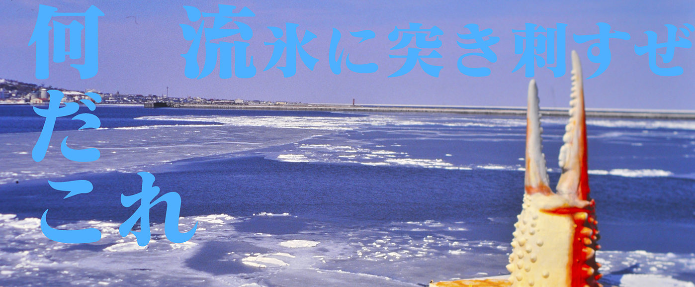 北海道紋別の流氷