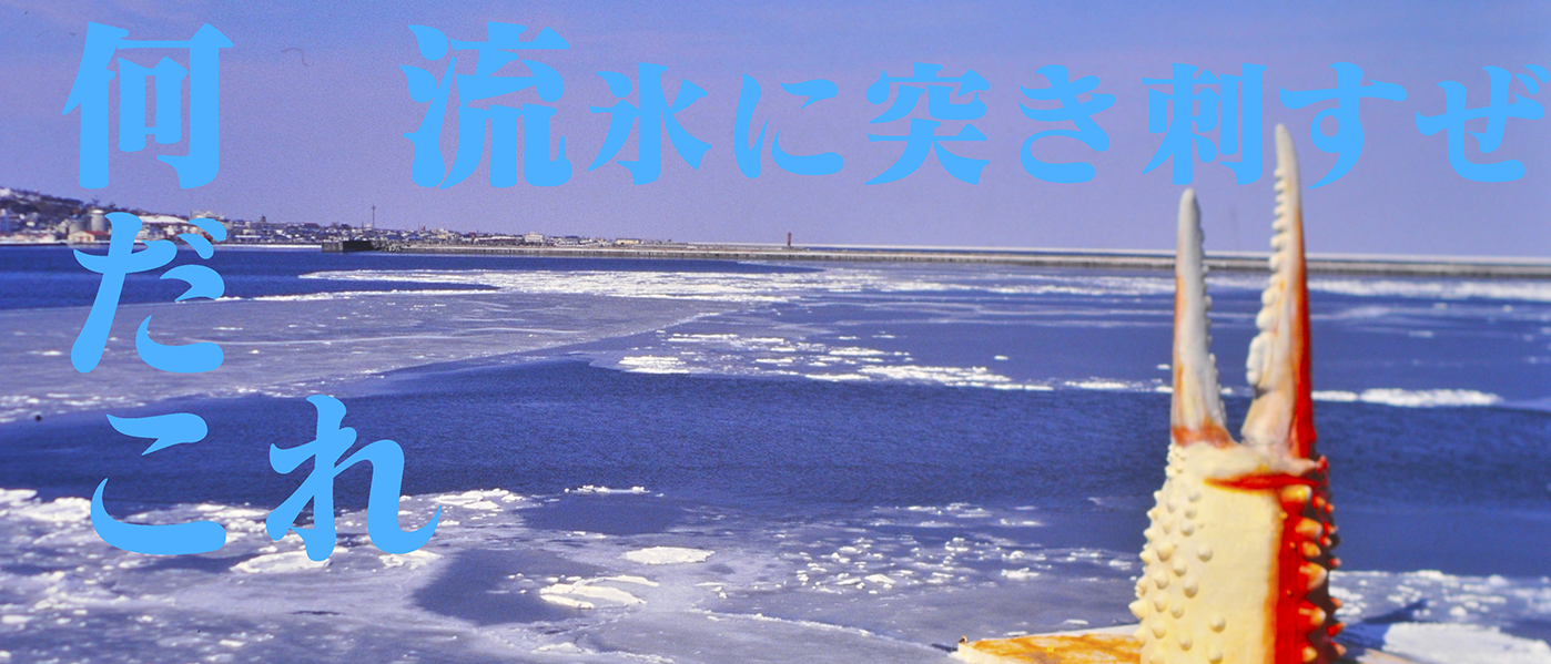 北海道紋別の流氷