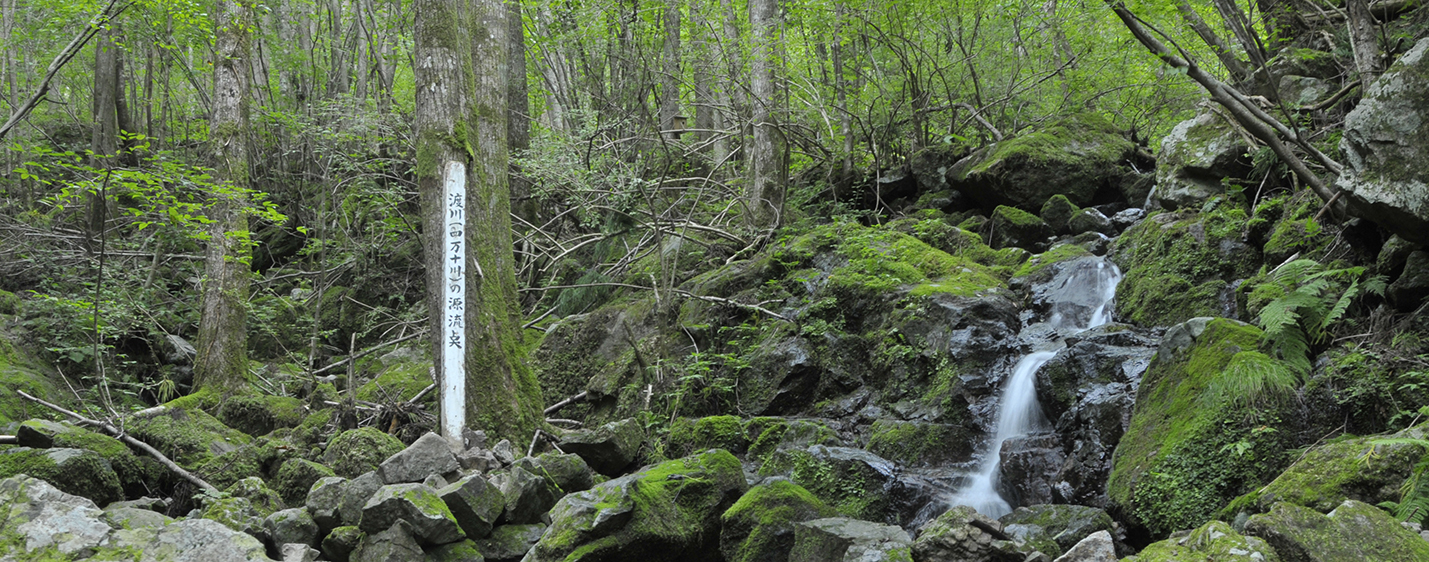 日本最後の清流四万十川