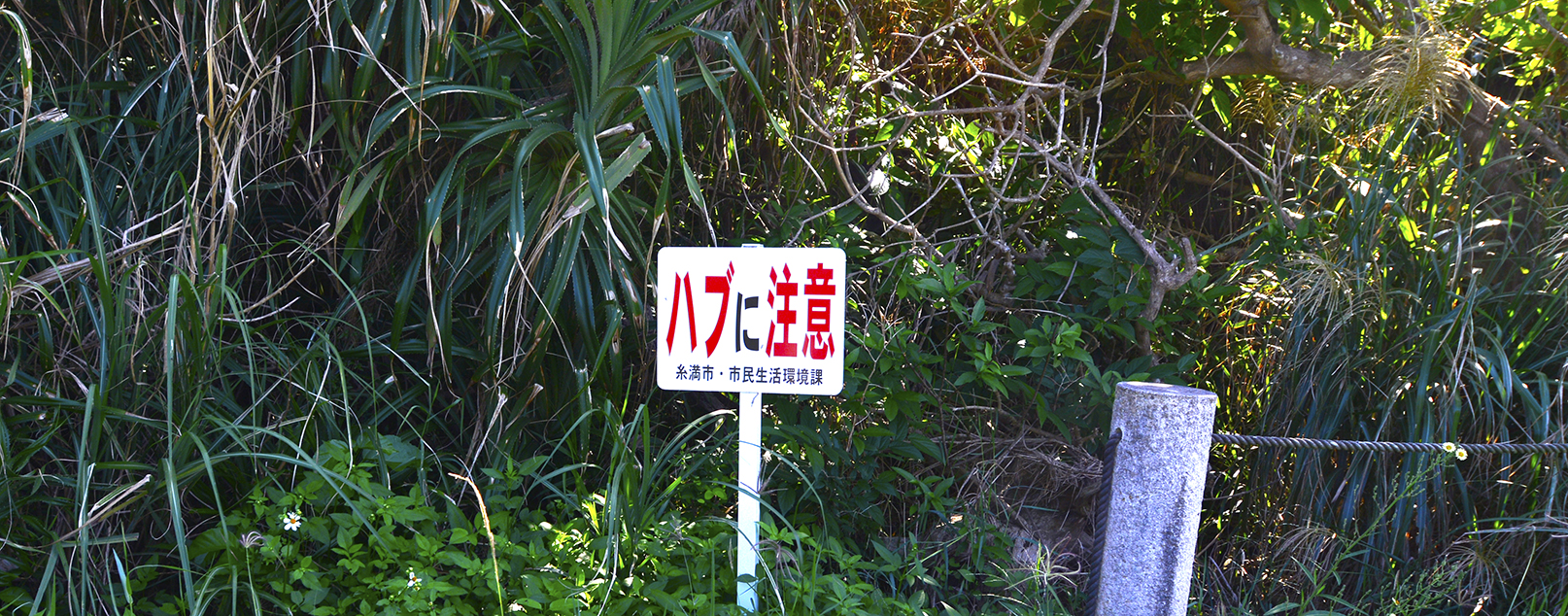 糸満具志川グスク＠沖縄県喜屋武