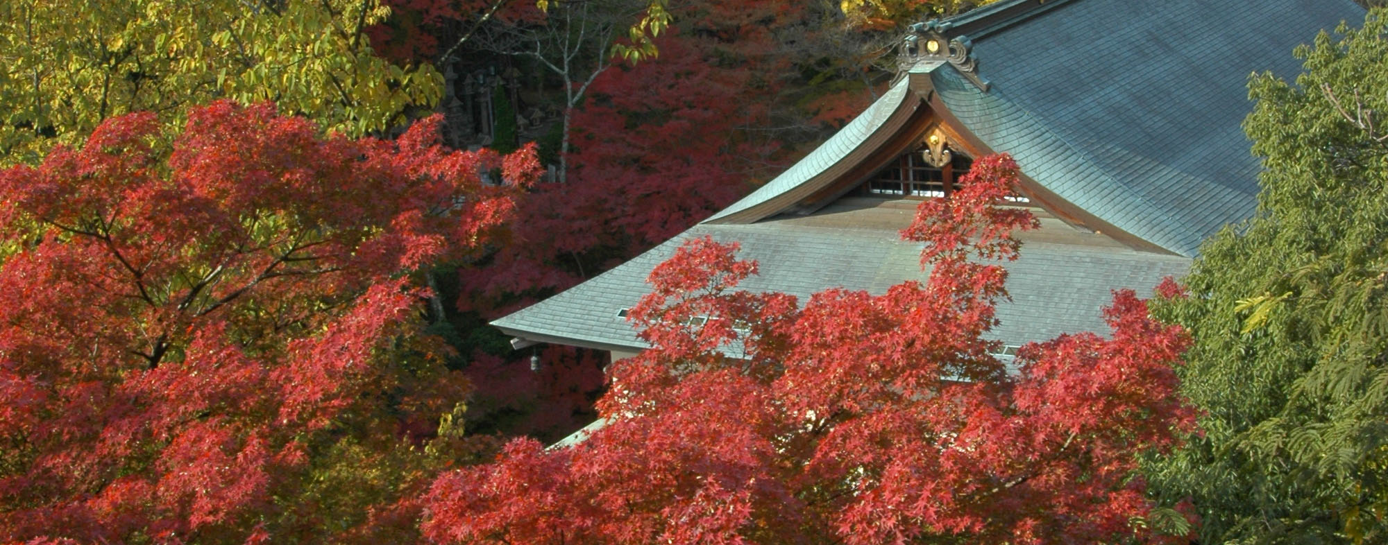 奈良生駒信貴山朝護孫子寺