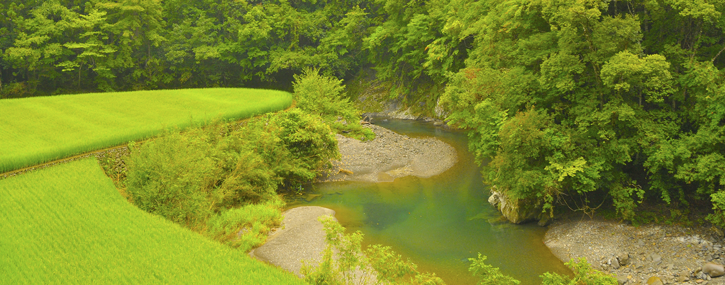 日本最後の清流四万十川