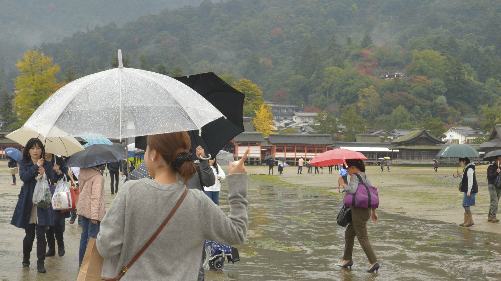海に浮かぶ不思議な神社@広島嚴島神社
