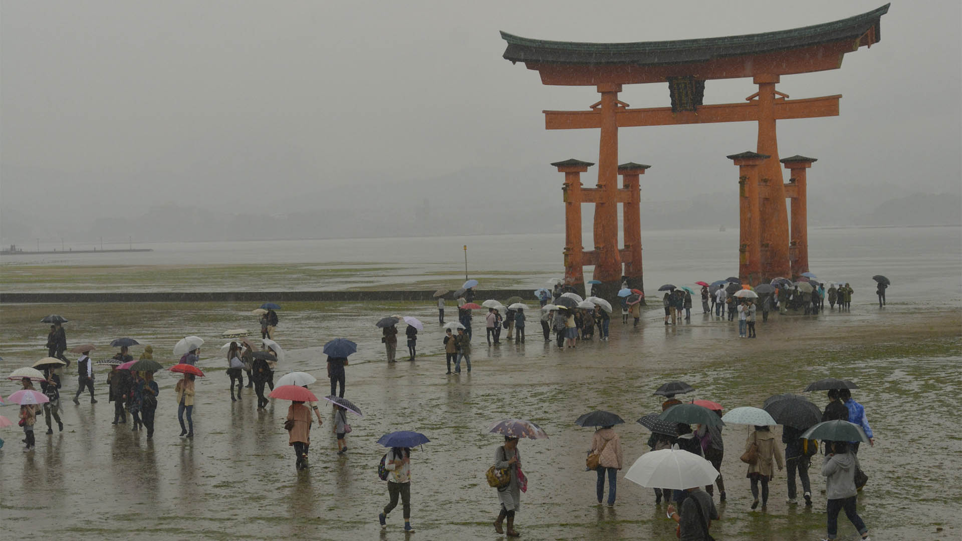 海に浮かぶ不思議な神社@広島嚴島神社