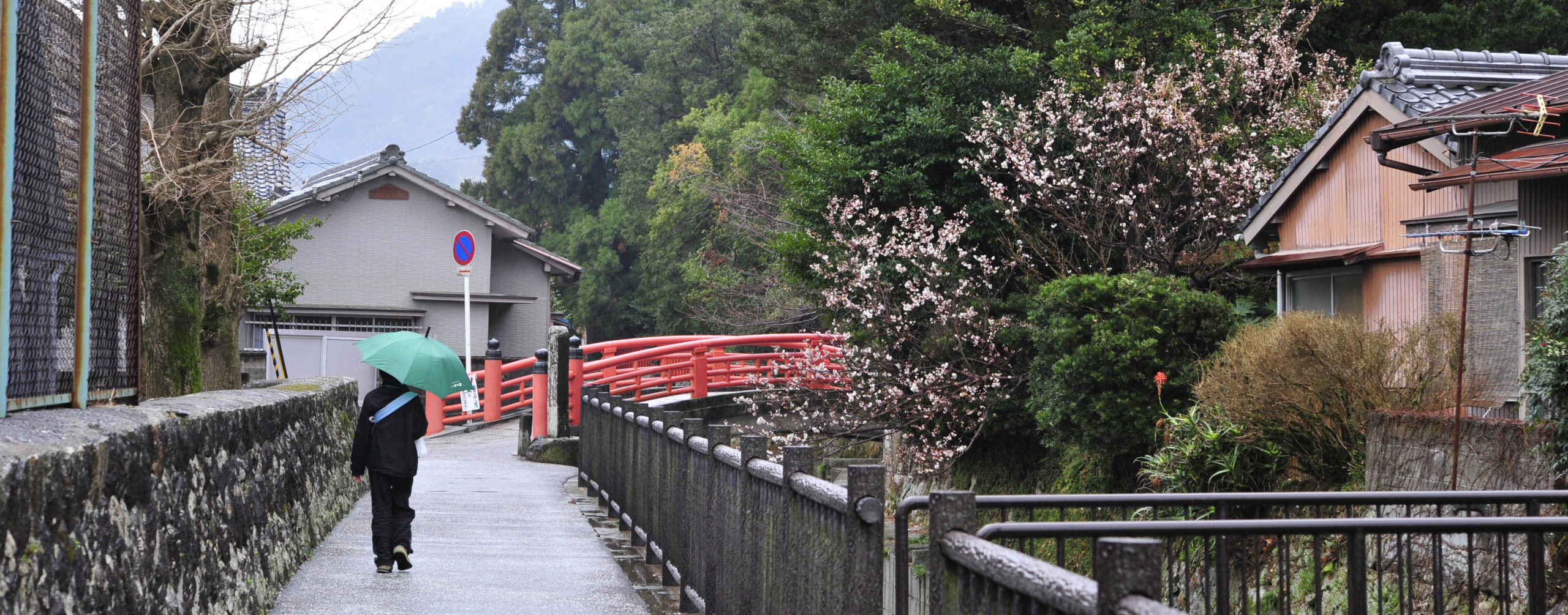 超絶パワースポット、日本屈指の力を持つ神倉神社ゴトビキ岩＠和歌山新宮