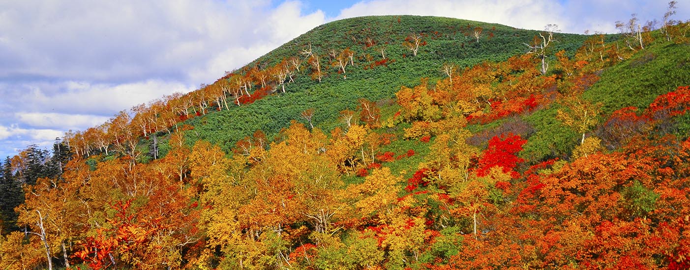 北海道大雪山