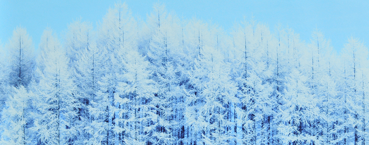 北海道大雪山