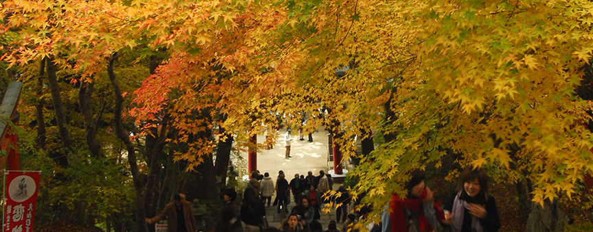 談山神社　奈良県桜井市