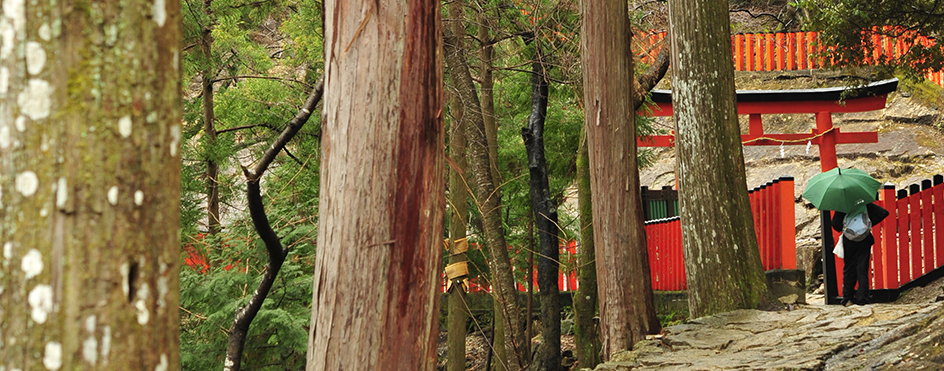 神倉神社ゴトビキ岩