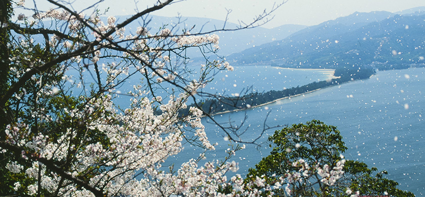 日本三景の一つ京都宮津天橋立