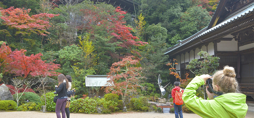 安芸の宮島