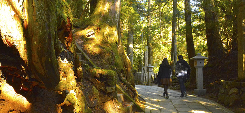 高野山奥之院