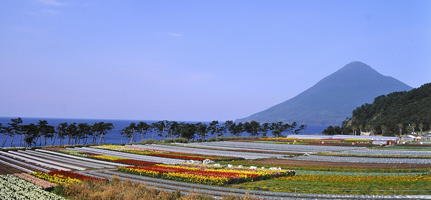 薩摩の秀峰開聞岳