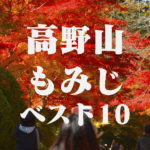 高野山もみじベストテン@和歌山県伊都郡高野町