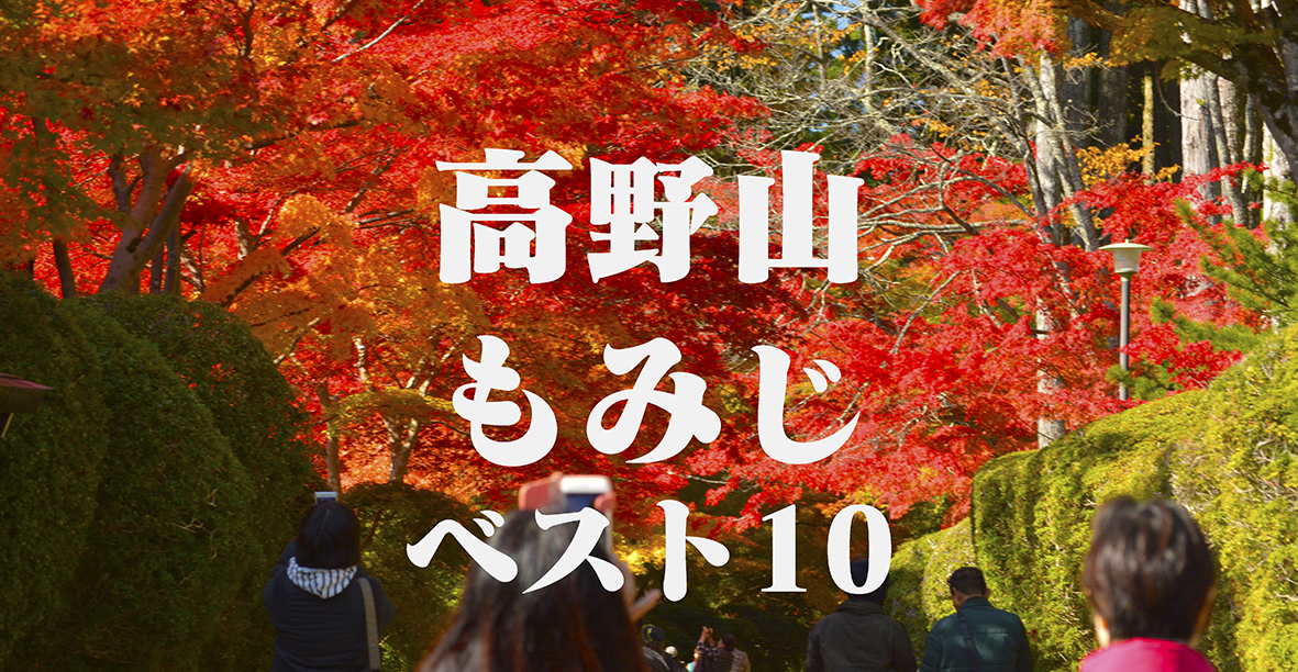 高野山もみじベストテン@和歌山県伊都郡高野町