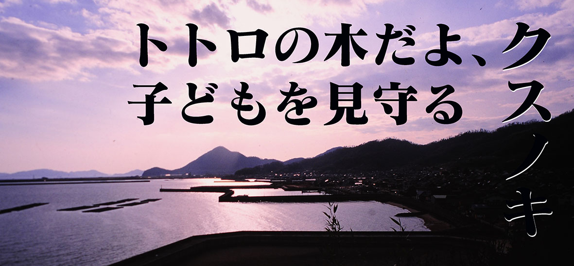 トトロの木だよ、子どもを見守るクスノキ＠岡山寄島町