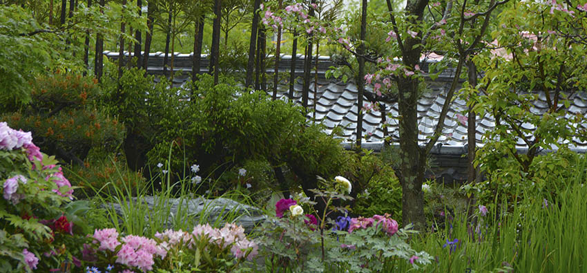 花のお寺さん須磨寺