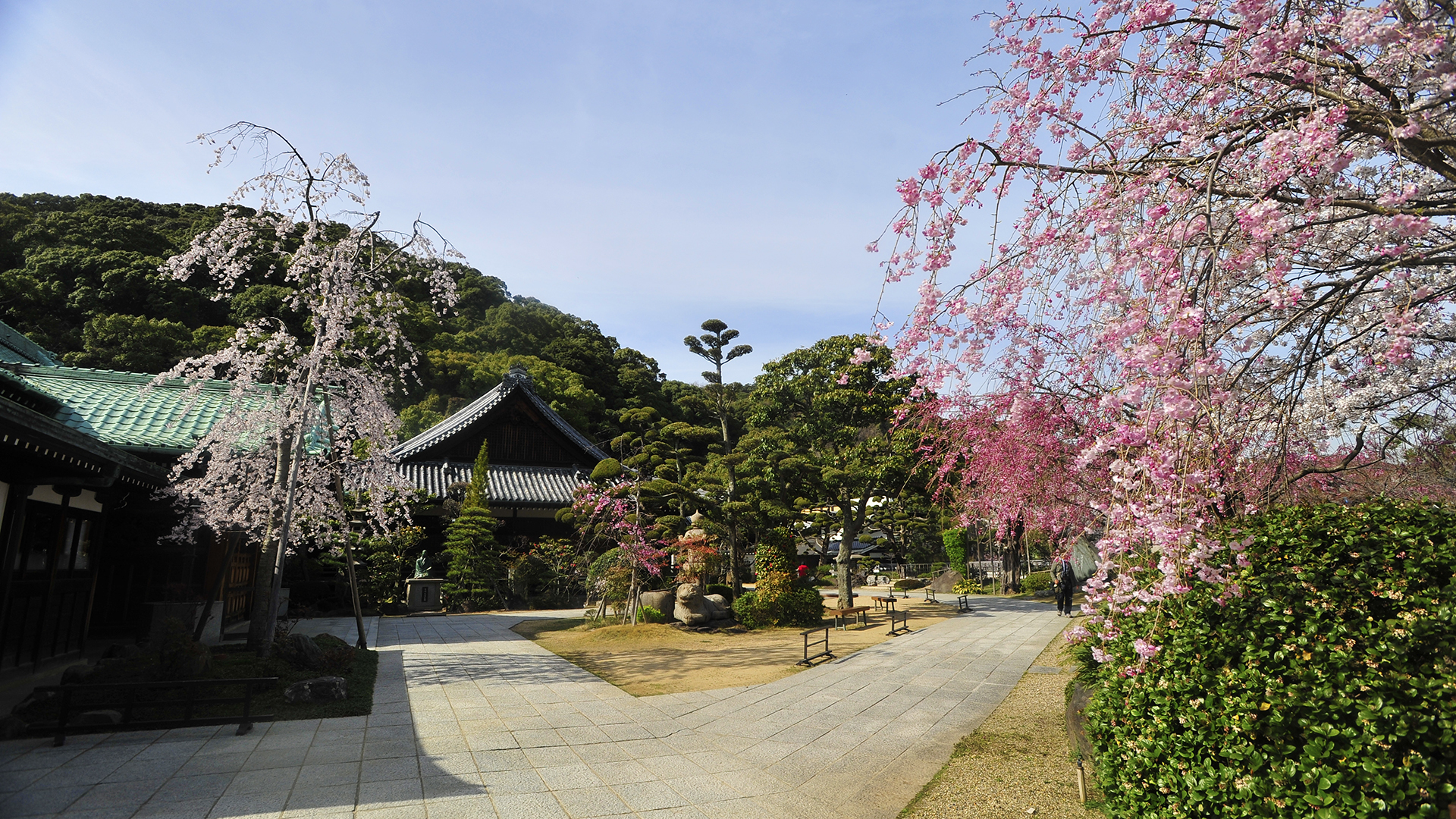 須磨寺本因坊