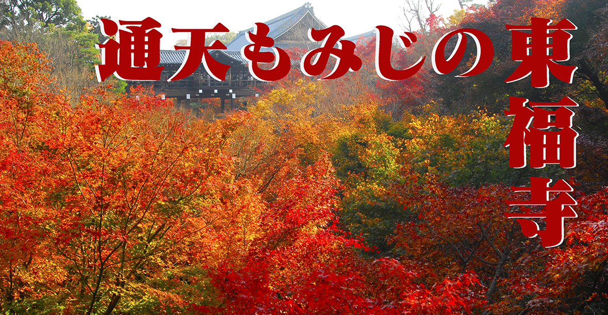 京都一番の通天もみじの東福寺。おけいはん乗って京都紅葉狩り。