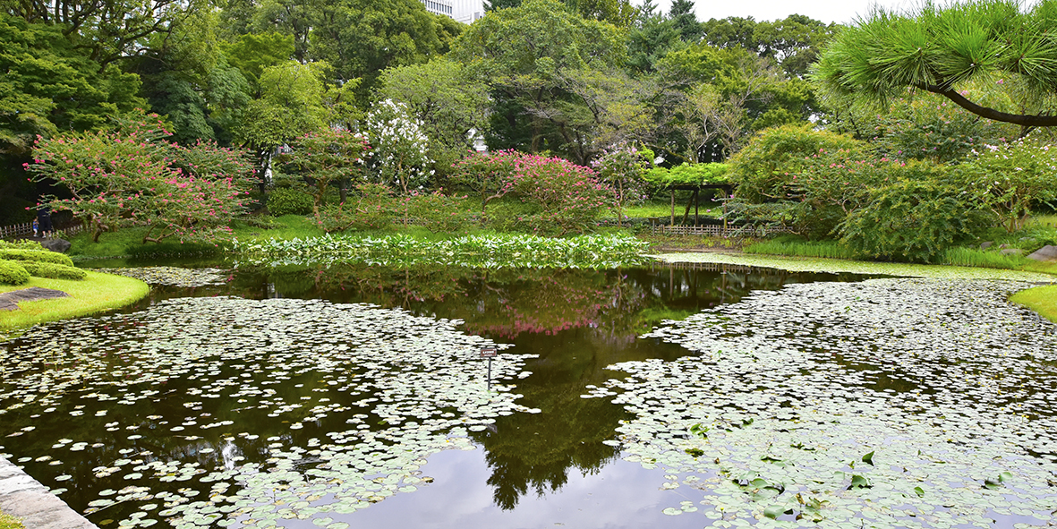 緑と花の二の丸