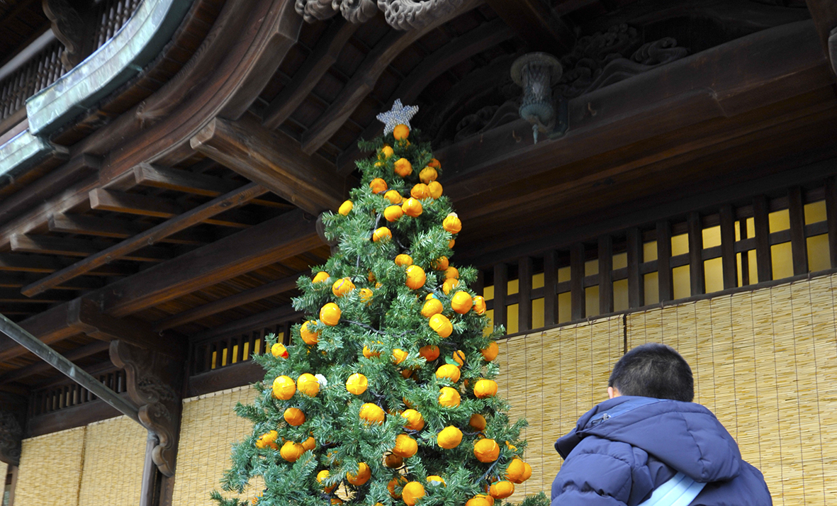 愛媛みかんのクリスマスツリー