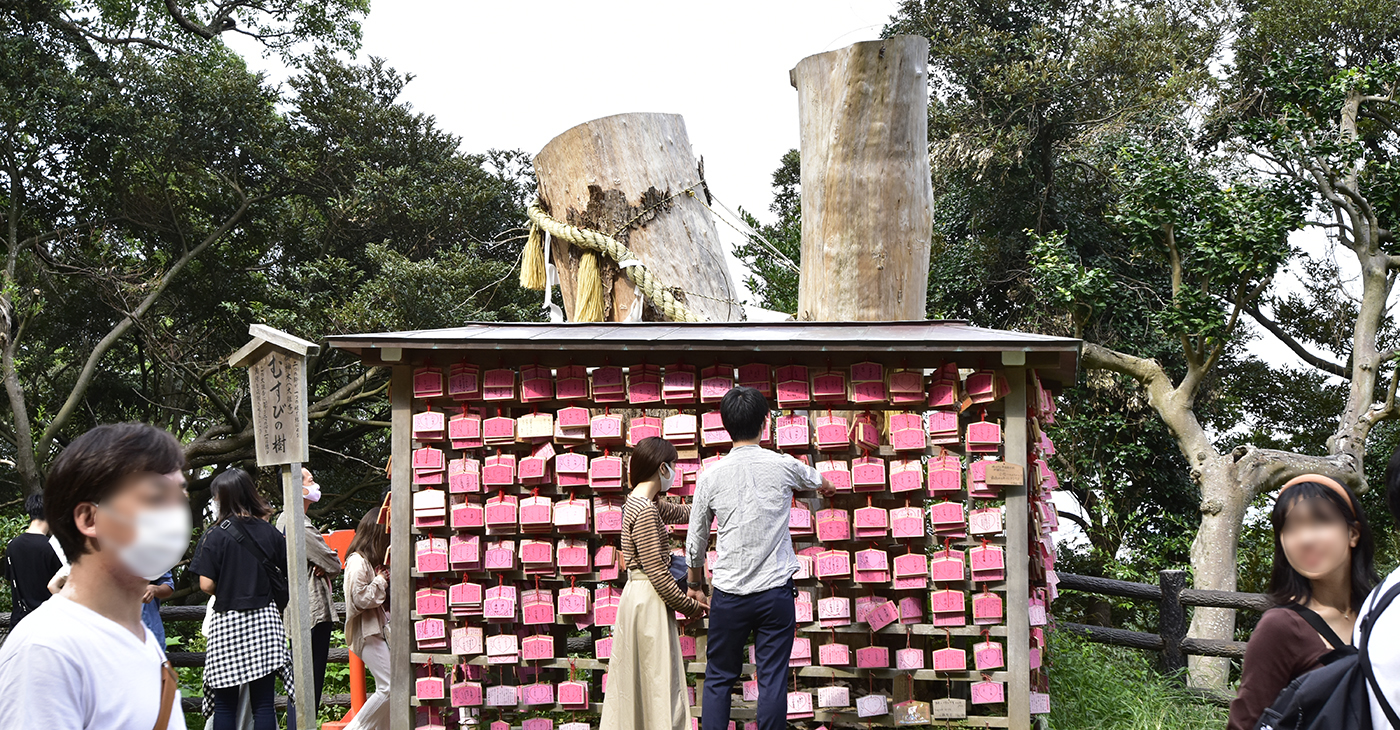 江島神社のご利益はすごいパワー