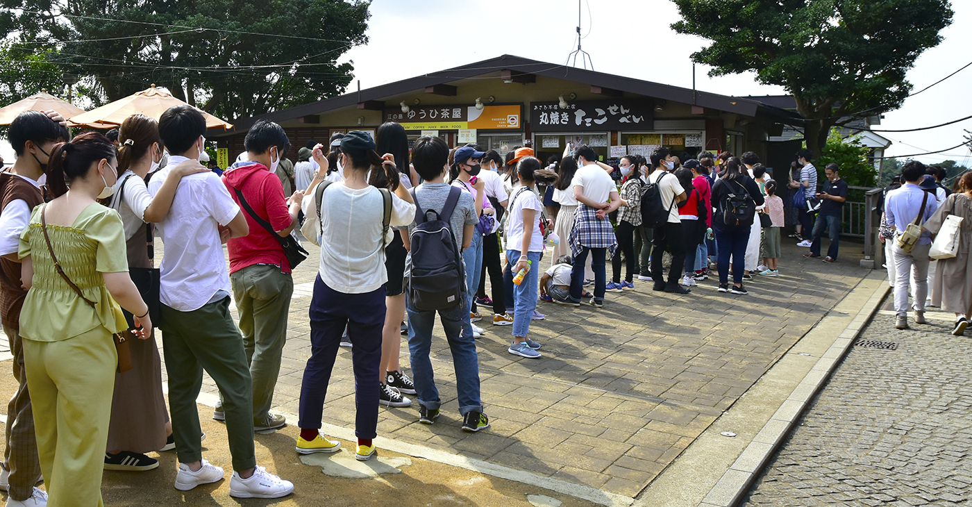 江島神社のご利益はすごいパワー