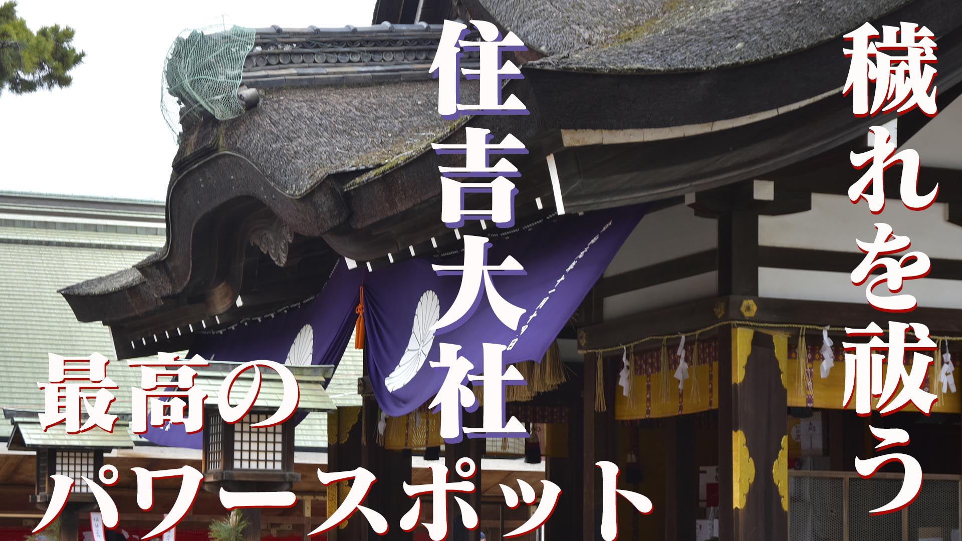 穢れを祓う最高のパワースポット全国にある二千数百社ある住吉神社の総本社・住吉大社＠大阪