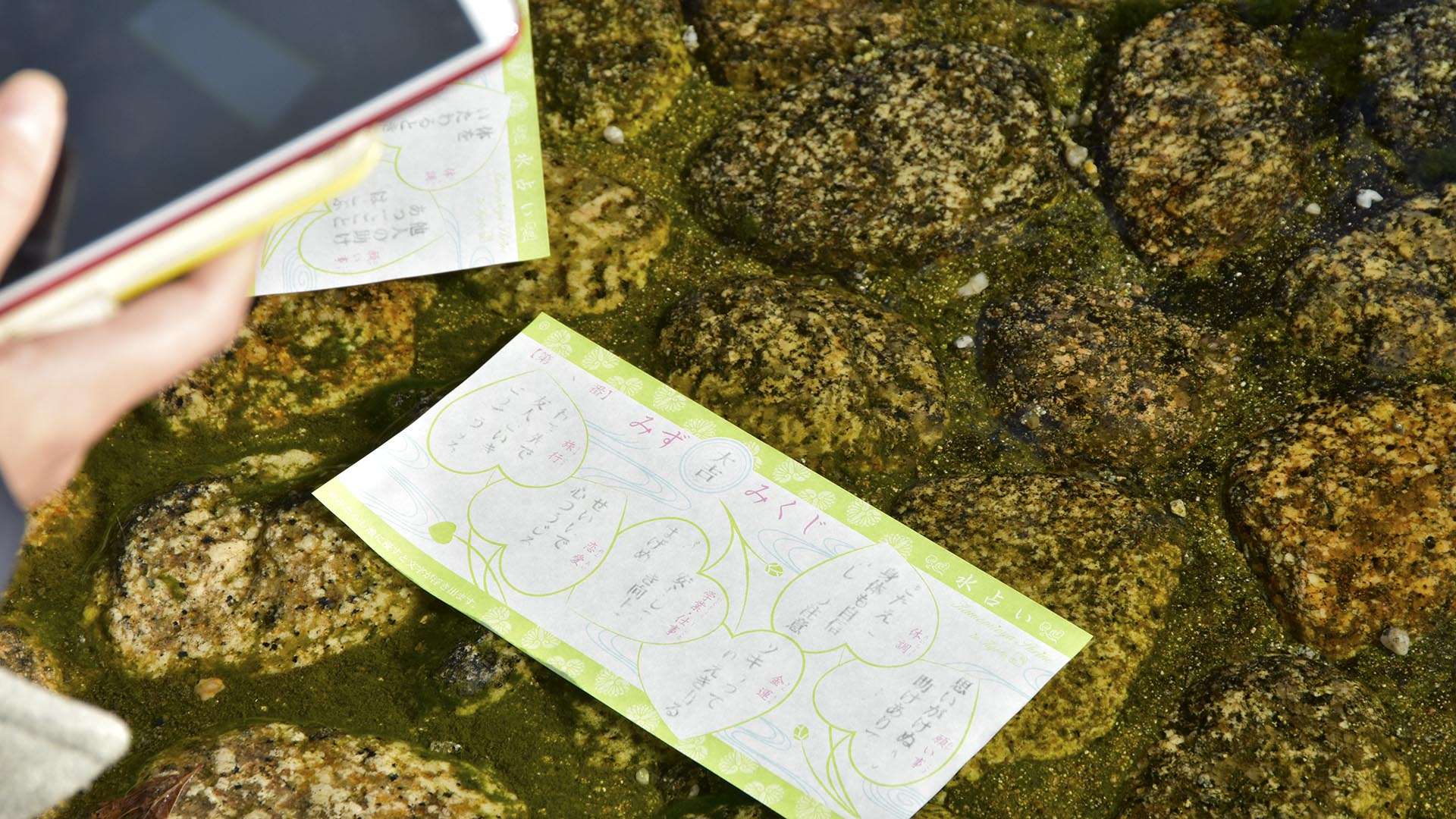 神様が降臨する磐座のパワーが強烈！下鴨神社大炊殿