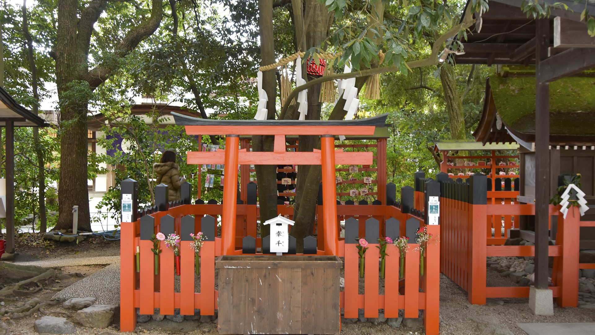 縁結びのパワースポットとして京一番有名な京都下鴨神社相生社