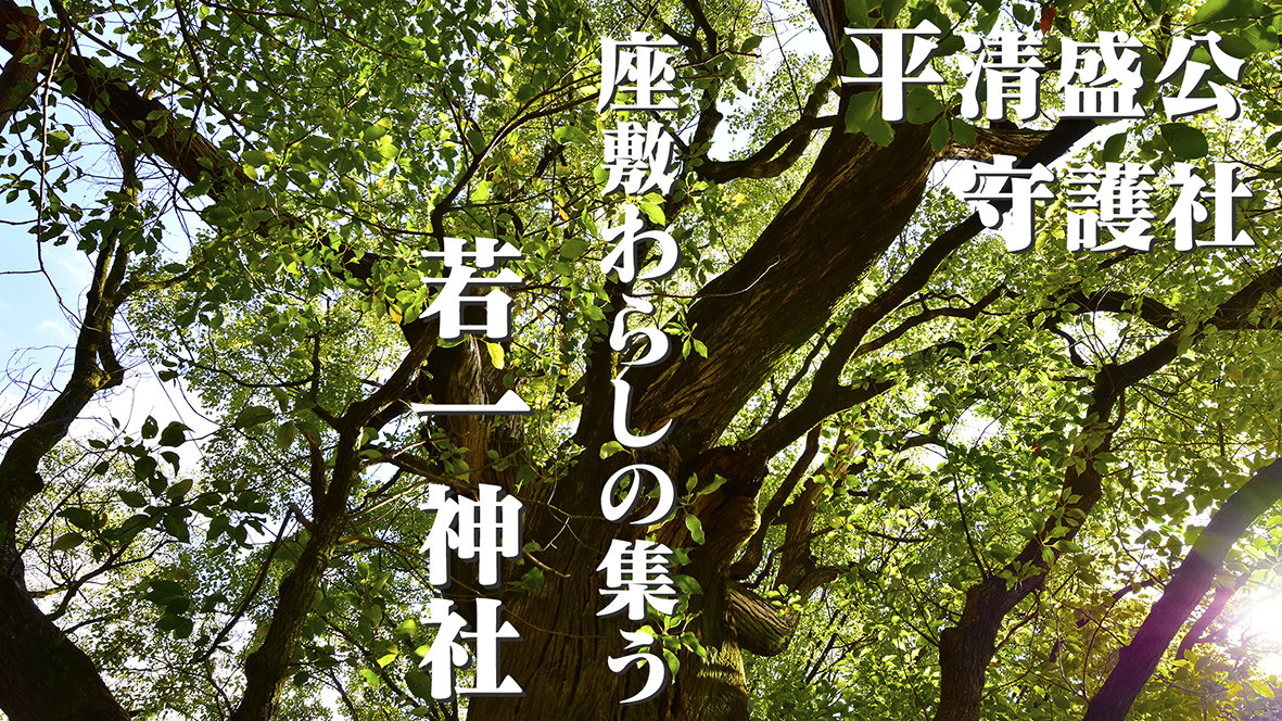 座敷わらしの集う楠　平清盛公守護社・京都若一神社　