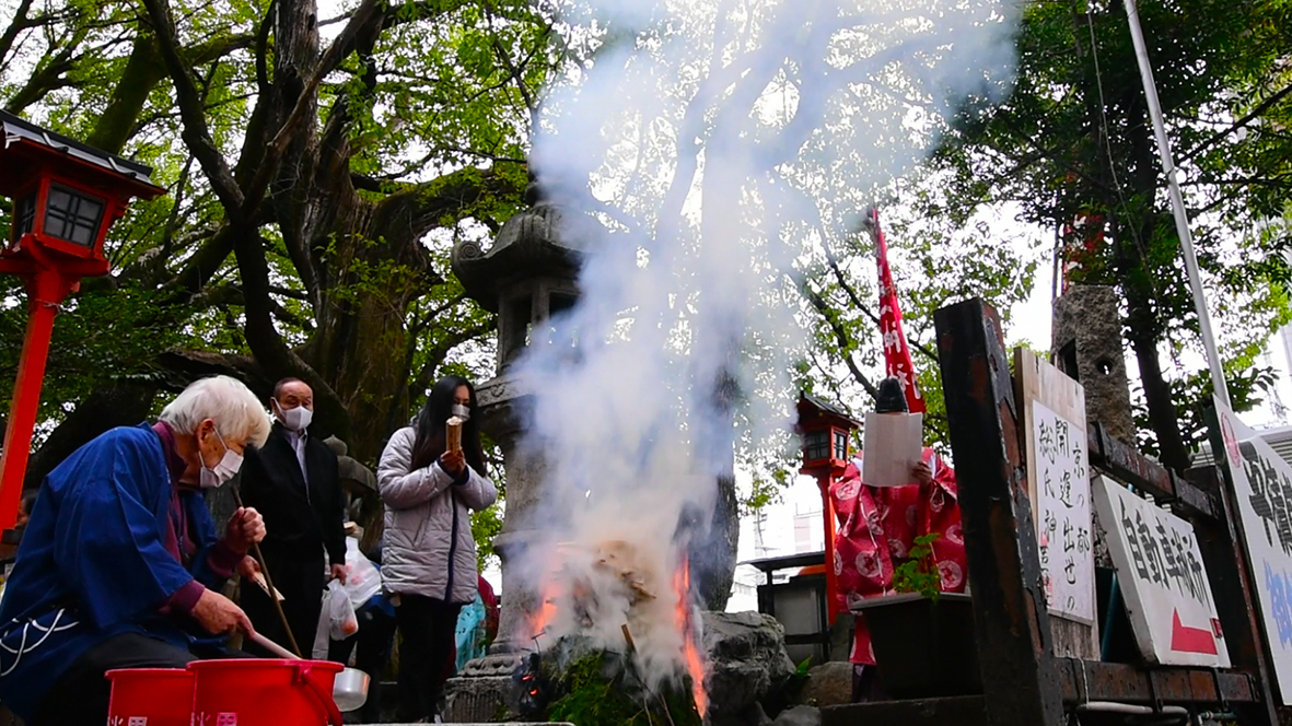 座敷わらしの集う楠　平清盛公守護社・京都若一神社　