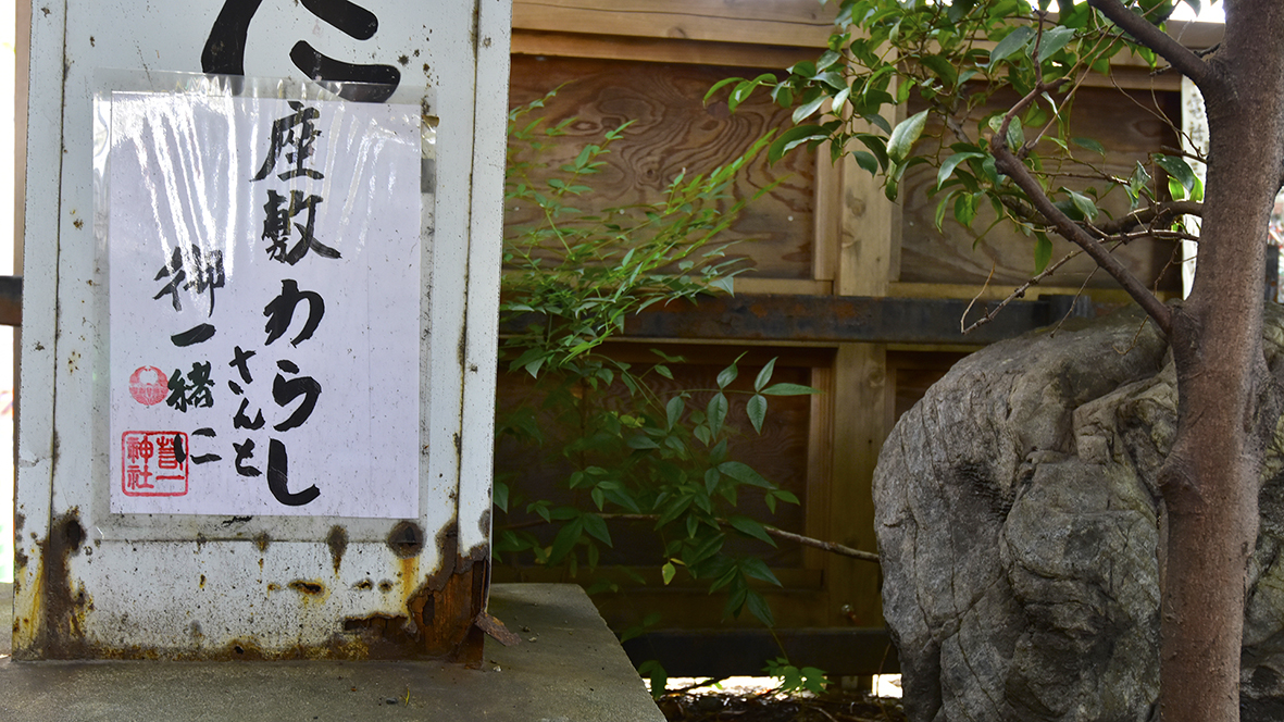 座敷わらしの集う楠　平清盛公守護社・京都若一神社　