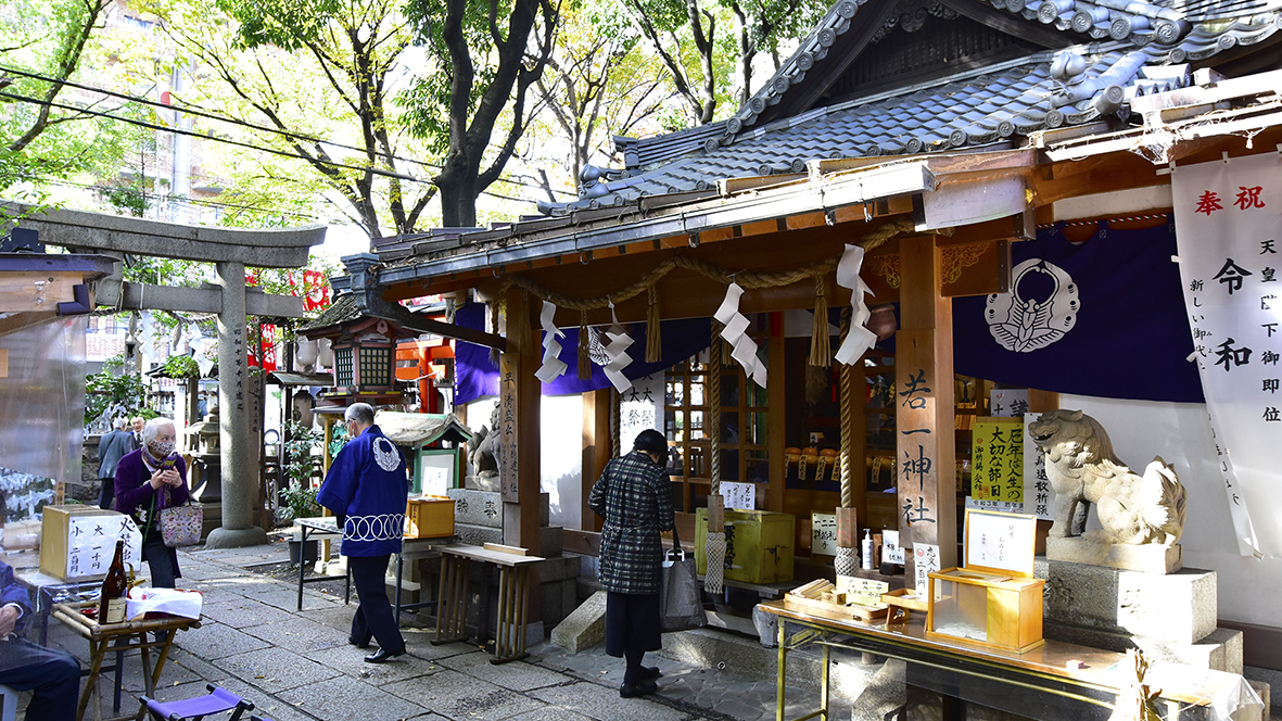 座敷わらしの集う楠　平清盛公守護社・京都若一神社　