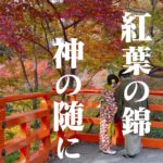 紅葉の錦 神の随に。京都北野天満宮は紅葉の隠れた名所