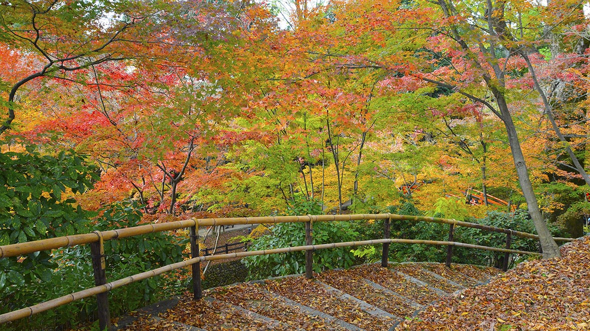 紅葉の錦 神の随に。京都北野天満宮は紅葉の隠れた名所