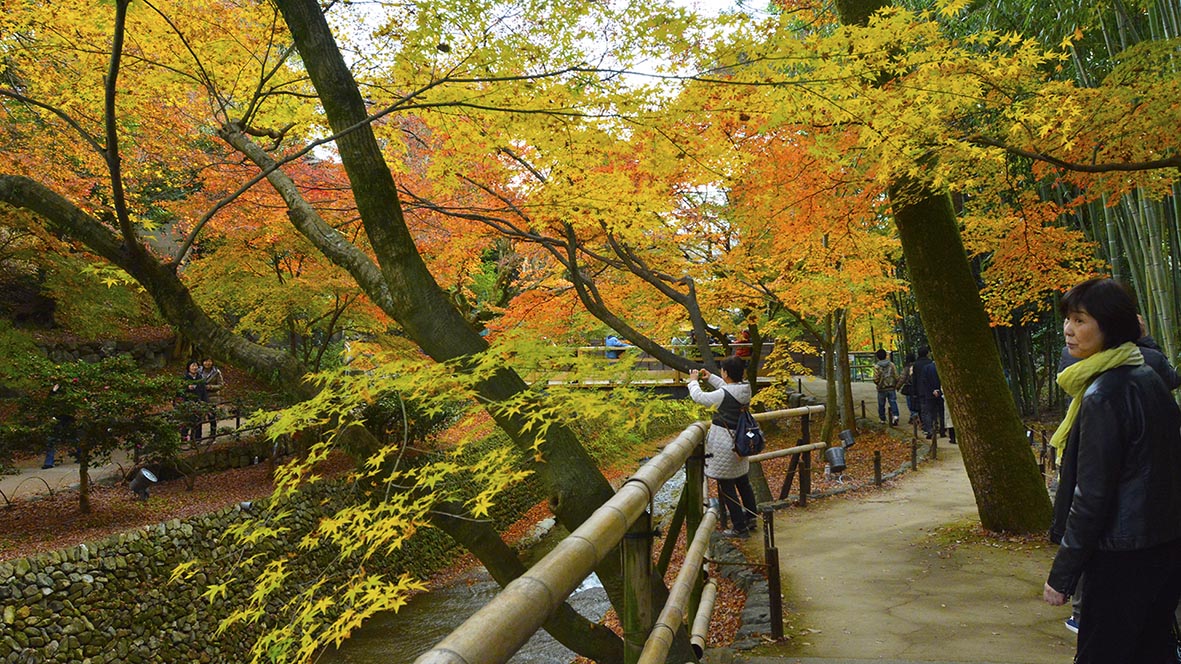 紅葉の錦 神の随に。京都北野天満宮は紅葉の隠れた名所