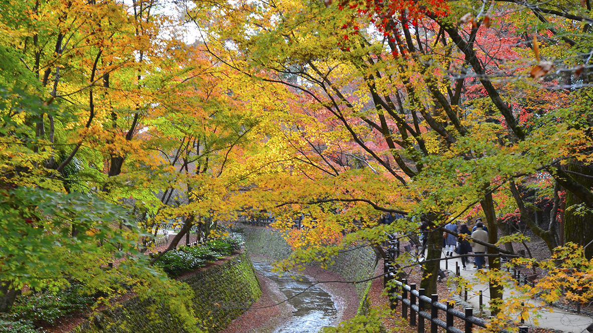 紅葉の錦 神の随に。京都北野天満宮は紅葉の隠れた名所