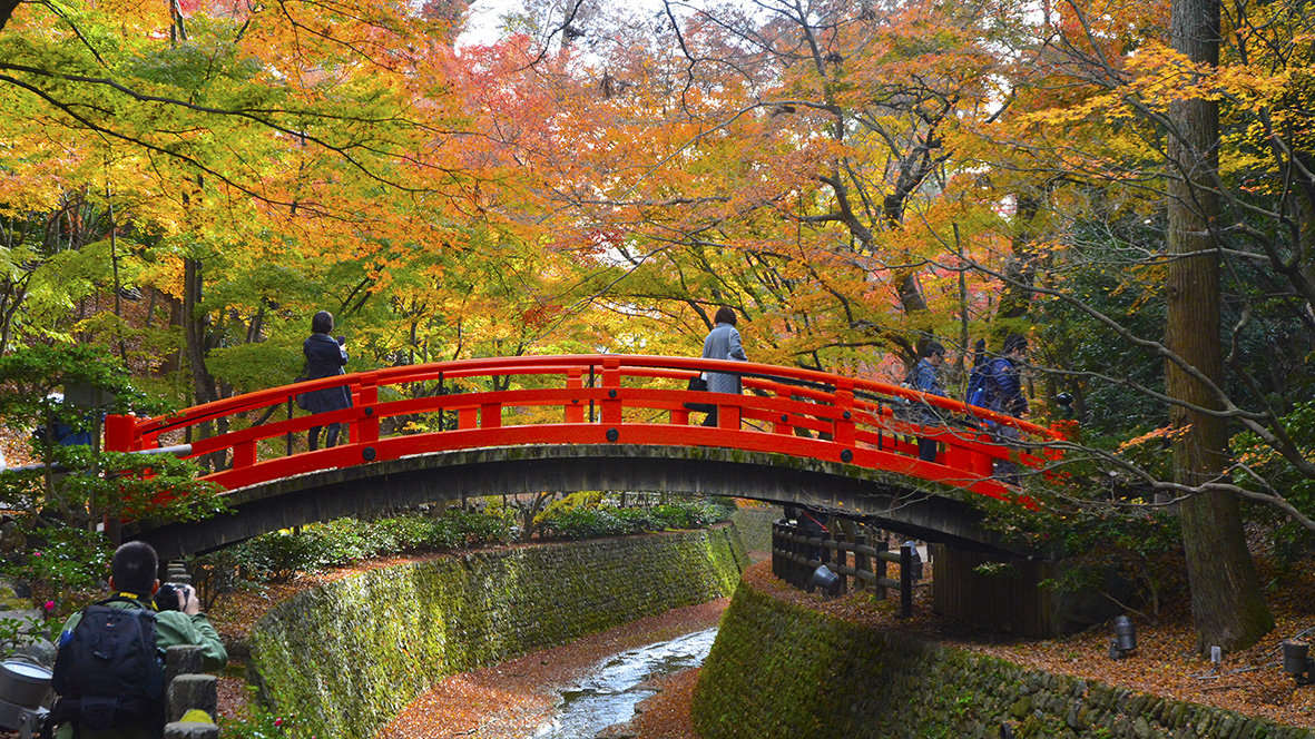 紅葉の錦 神の随に。京都北野天満宮は紅葉の隠れた名所