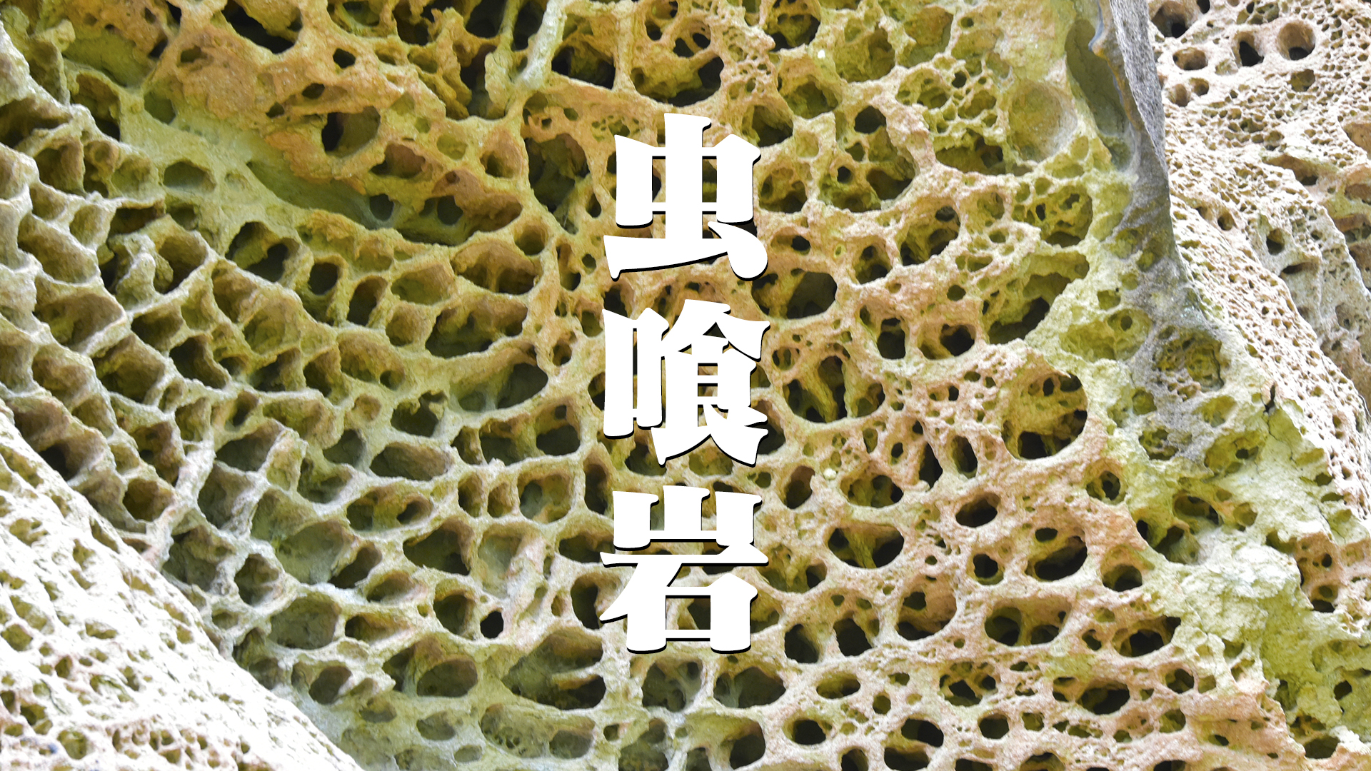 国の天然記念物・高池の虫喰岩＠和歌山古座川