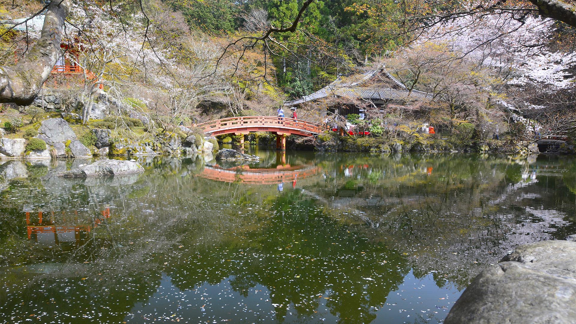 お花見文化の原点・太閤秀吉醍醐の花見