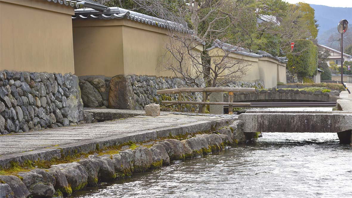 大田の沢のカキツバタ＠京都上賀茂神社摂社大田神社