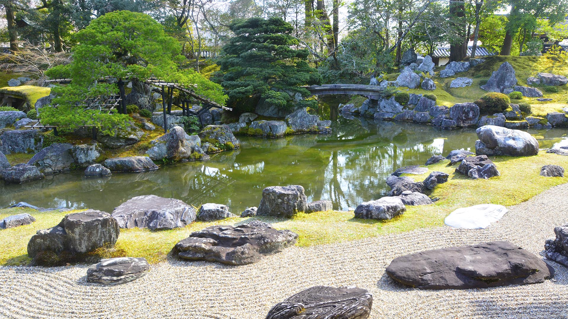 お花見文化の原点・太閤秀吉醍醐の花見