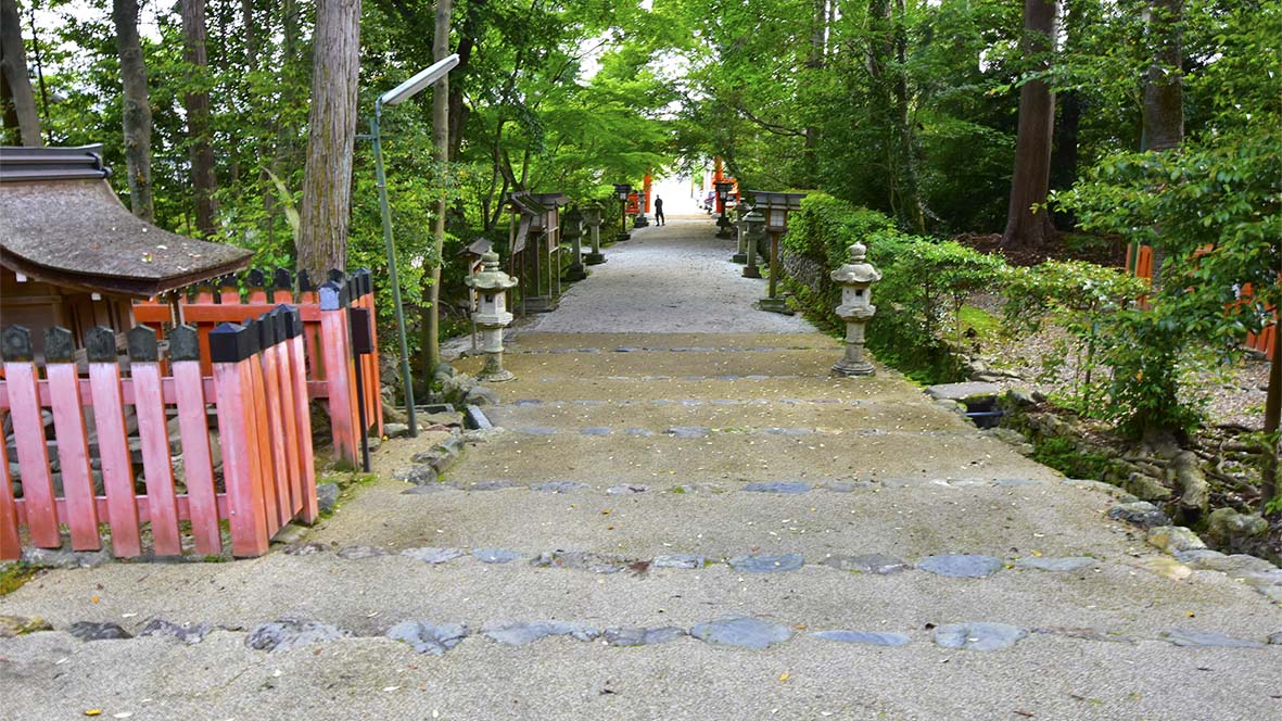 大田の沢のカキツバタ＠京都上賀茂神社摂社大田神社