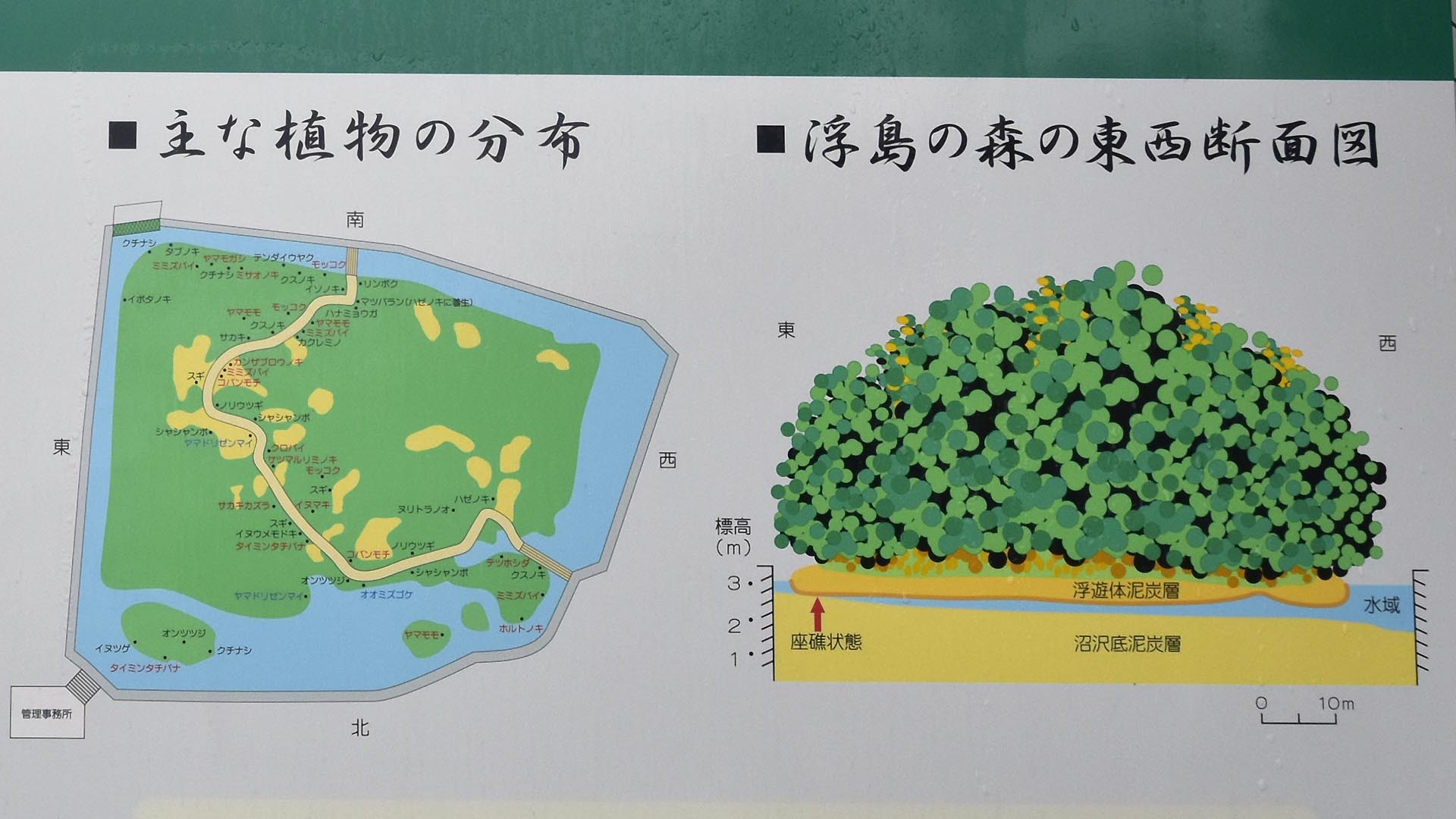 浮島伝説・信仰の対象、池に浮かぶ島「新宮藺沢浮島植物群落」