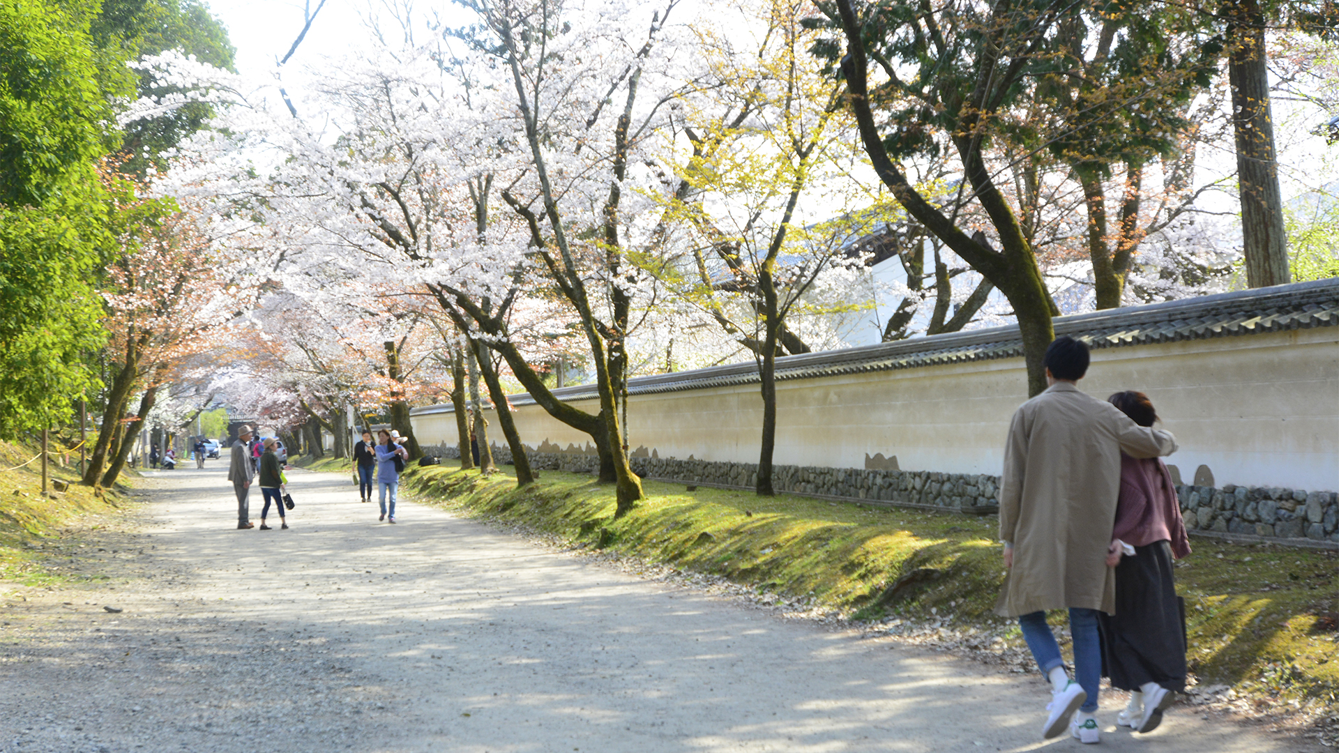 京都伏見醍醐寺