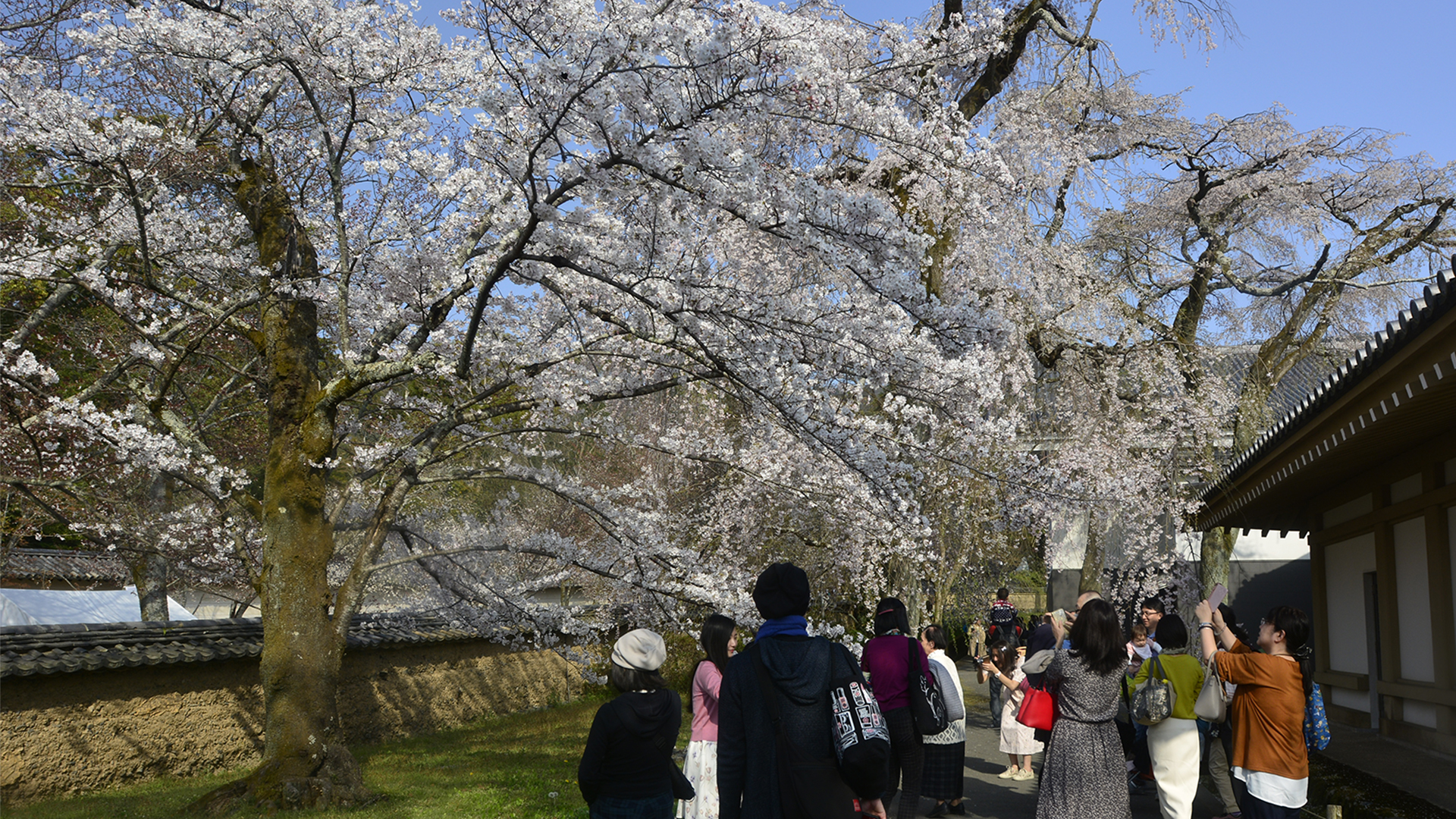 京都伏見醍醐寺