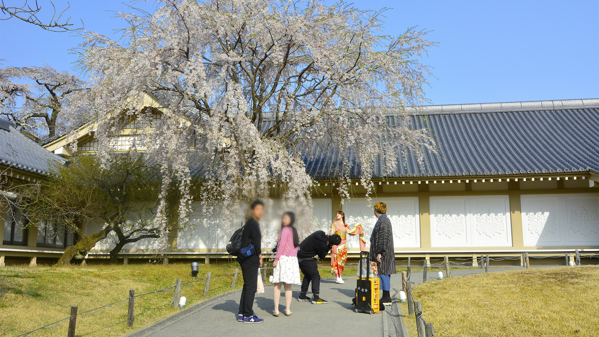 醍醐の花見