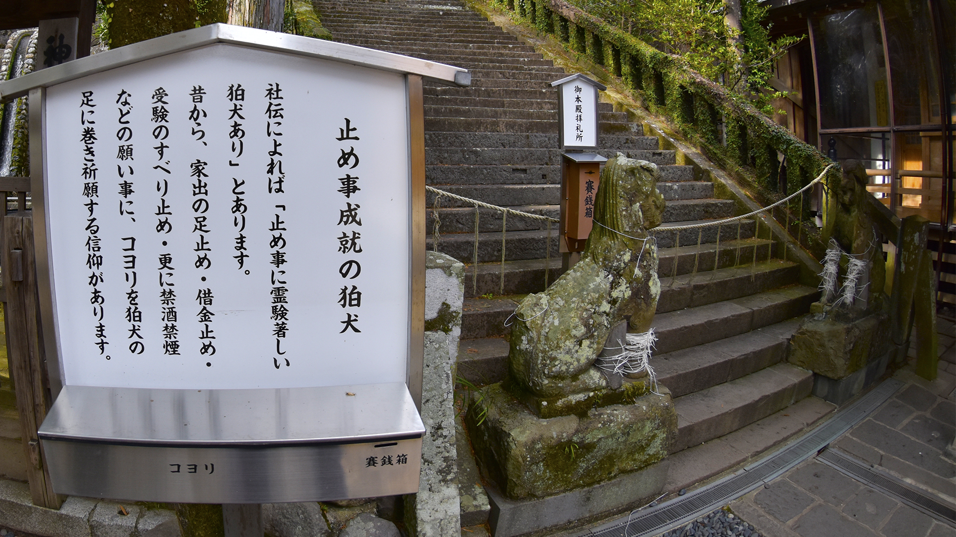 面白い狛犬＠長崎鎮西諏訪神社